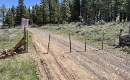 A gate in the road.