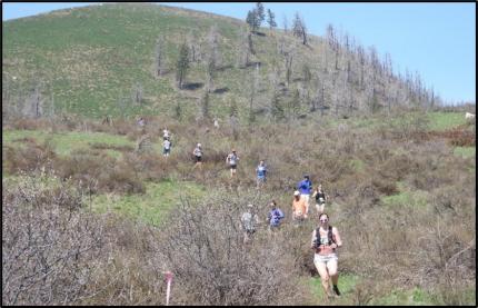 The 42nd Sunflower Marathon, Half Marathon, and Relay took place over the weekend.