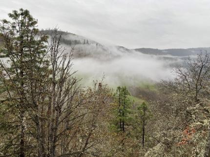 Low clouds obscure the hillsides during the early morning portion of the survey.